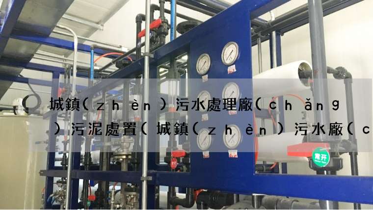 城鎮(zhèn)污水處理廠(chǎng)污泥處置(城鎮(zhèn)污水廠(chǎng)該何去何從)