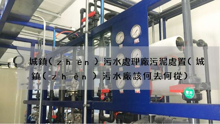 城鎮(zhèn)污水處理廠污泥處置(城鎮(zhèn)污水廠該何去何從)